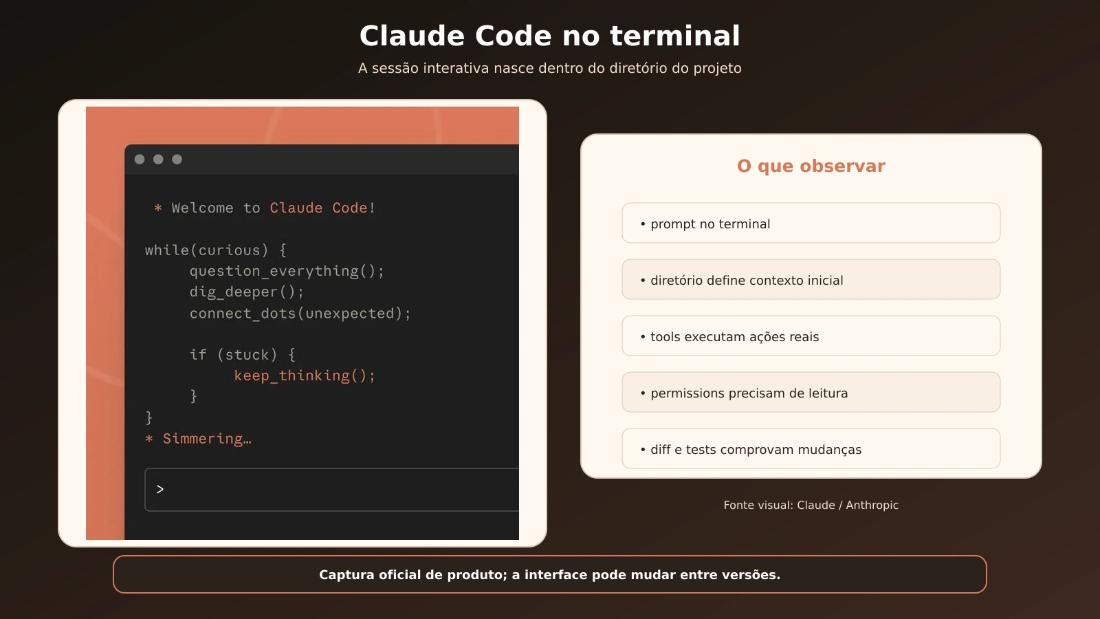 13-captura-oficial-claude-code-terminal_20260904133455.webp